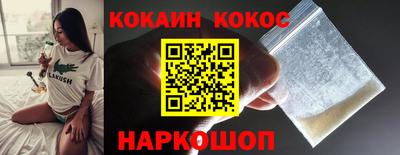 гашик Можга