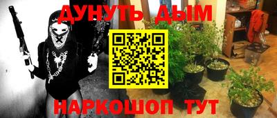 гашик Можга