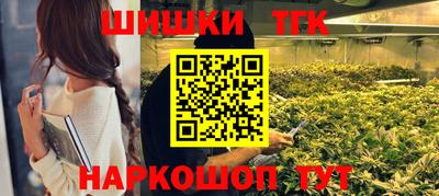 гашик Можга