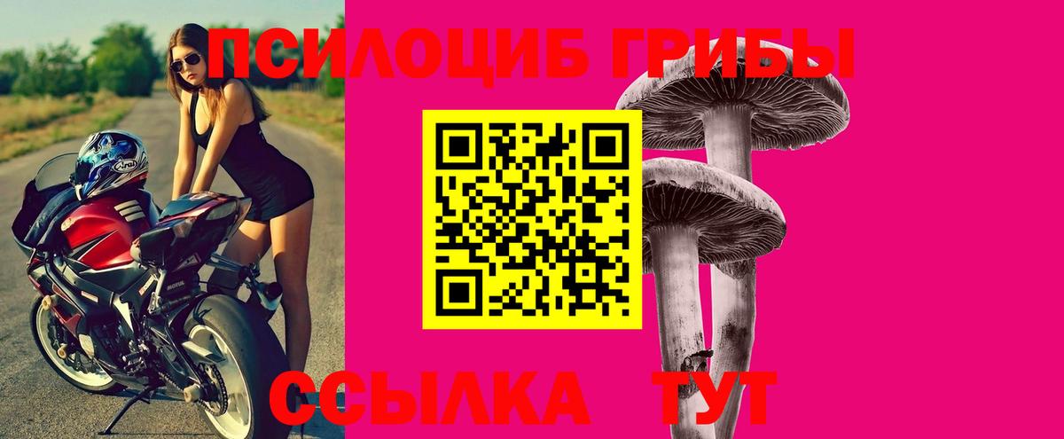 Псилоцибиновые грибы ЛСД  Вход с VPN  закладка  Галлюциногенные грибы MAGIC MUSHROOMS  Урюпинск 