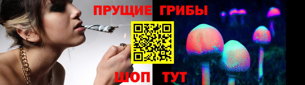 Галлюциногенные грибы прущие грибы Урюпинск